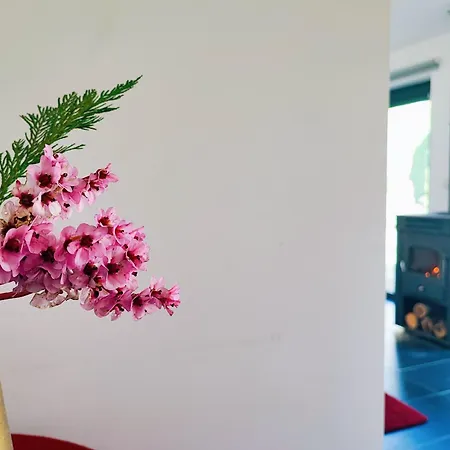 Tatil parkı Quinta De Travancela *
