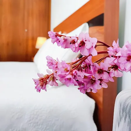 Tatil parkı Quinta De Travancela Amarante