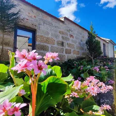 Quinta De Travancela Kompleks wypoczynkowy