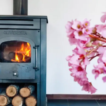 Quinta De Travancela Semesterpark *