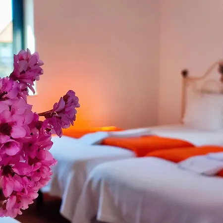 Quinta De Travancela *