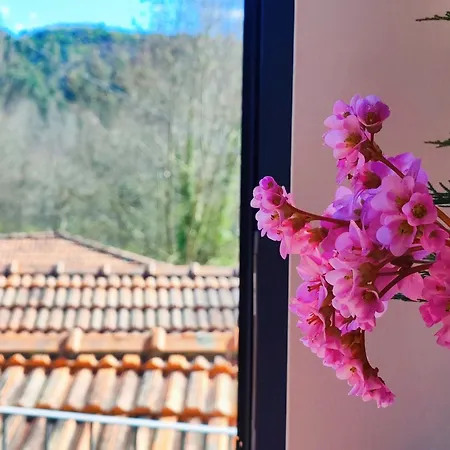 Quinta De Travancela