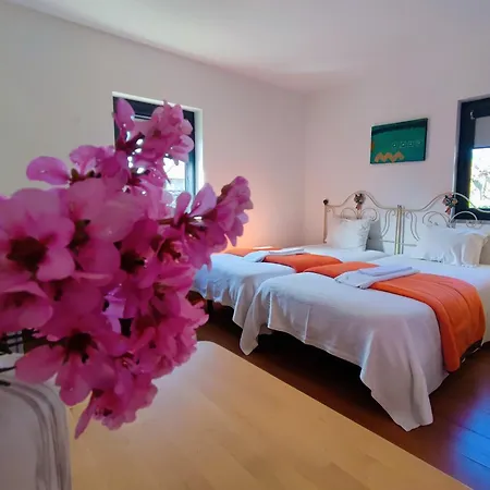 Quinta De Travancela Tatil parkı Amarante