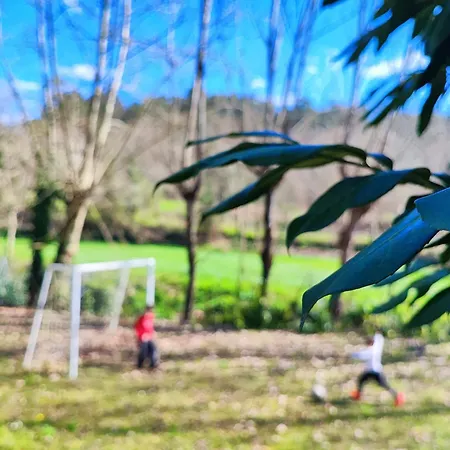 Tatil parkı Quinta De Travancela Amarante