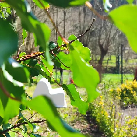 Quinta De Travancela * Amarante