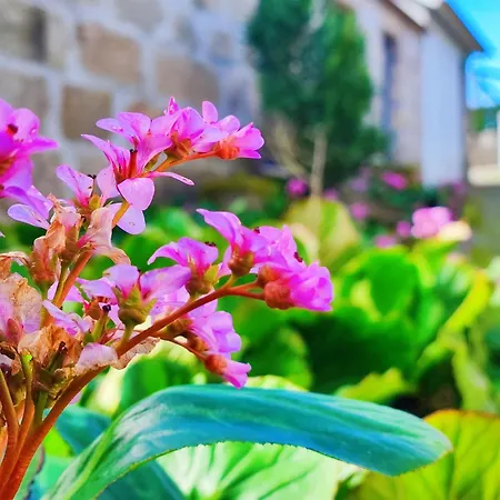 Quinta De Travancela Aldeamento Turístico *