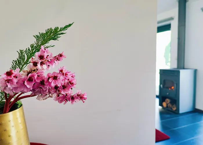 База отдыха Agroturismo Quinta De Travancela *