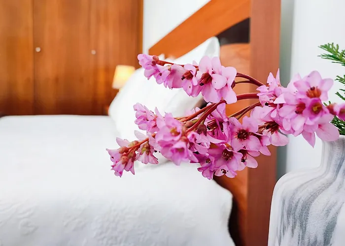 Ferienpark Quinta De Travancela Amarante