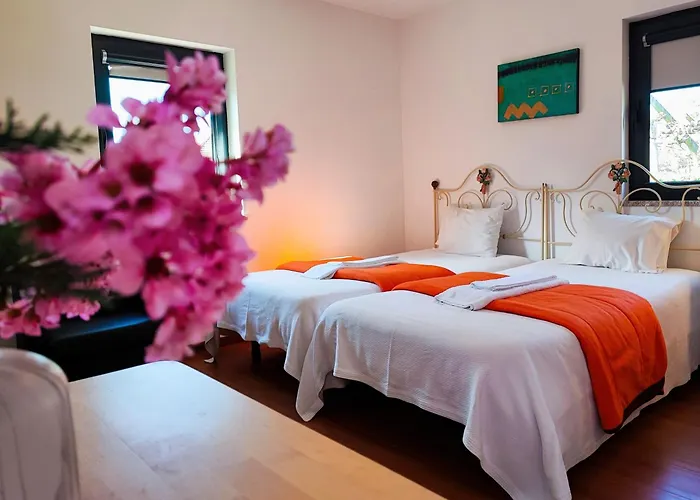 База отдыха Agroturismo Quinta De Travancela Амаранте