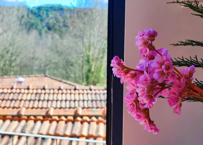 Quinta De Travancela