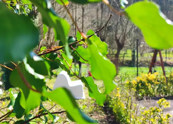 Quinta De Travancela * Amarante