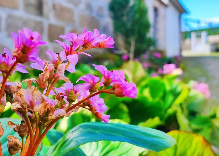 Agroturismo Quinta De Travancela База отдыха *